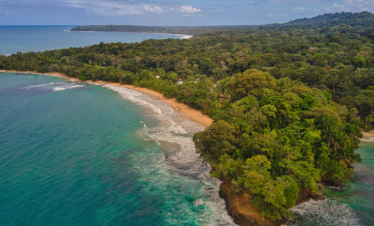Punta Uva