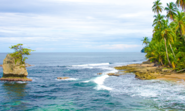 Manzanillo
