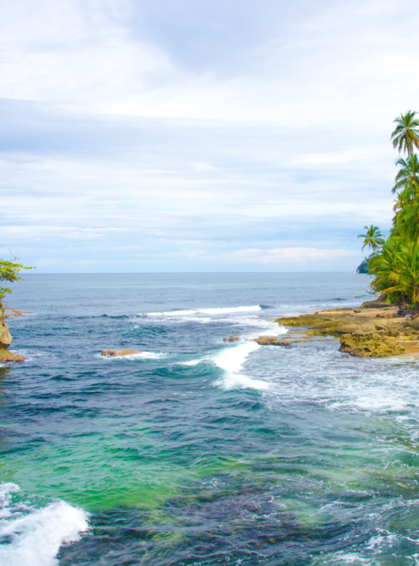 Manzanillo